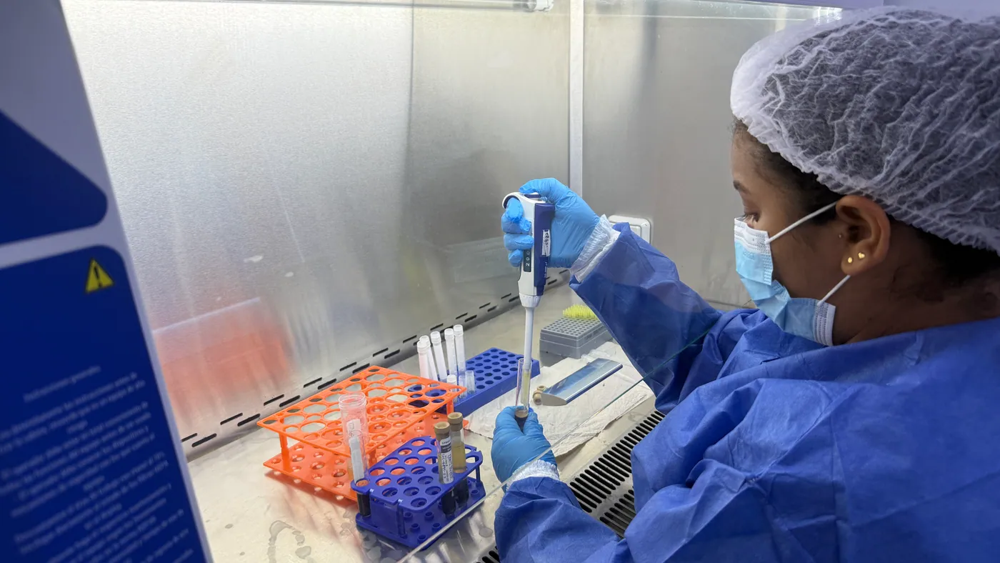 Allied professional pipetting samples inside a biosafety cabinet.